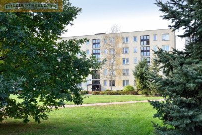 Mieszkanie Wynajem  Mokotów Spalska
