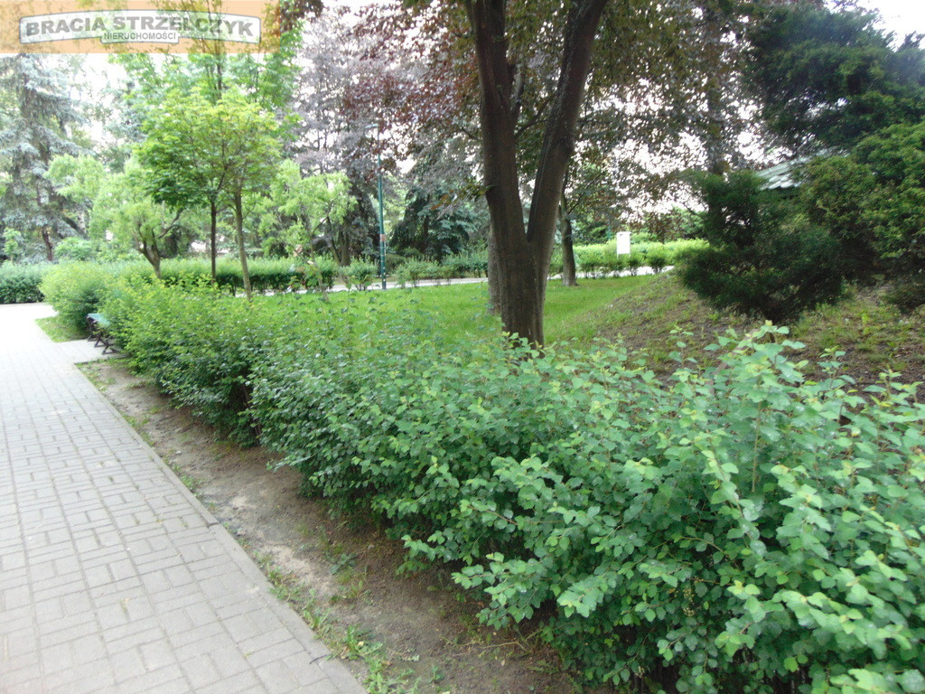 Mieszkanie Sprzedaż Warszawa Śródmieście Dzika