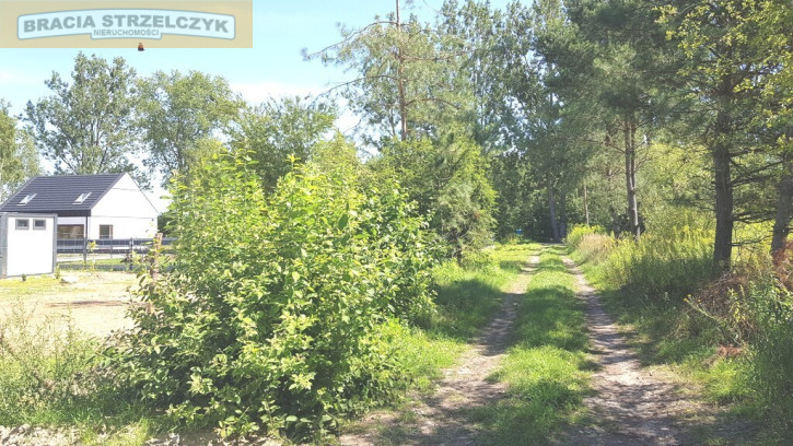Działka Sprzedaż Słubica Dobra 1