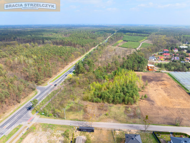 Działka Sprzedaż Rajszew 8