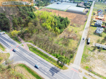 Działka Sprzedaż Rajszew