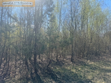 Działka Sprzedaż Grochowa