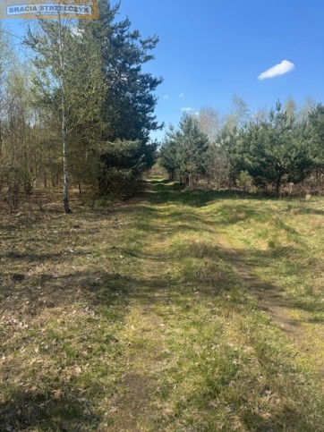Działka Sprzedaż Grochowa 3