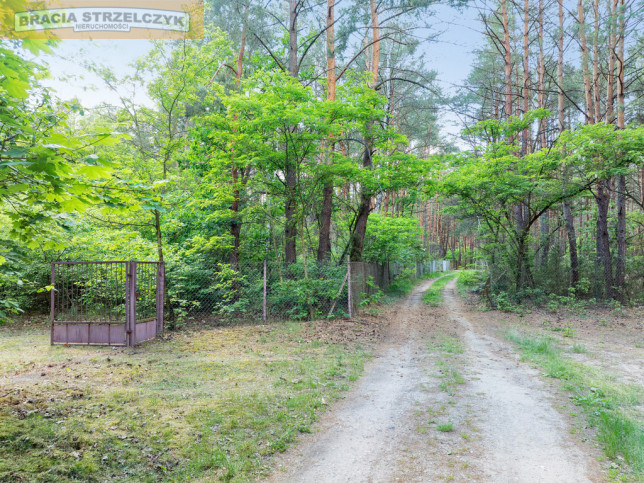 Działka Sprzedaż Nowa Wieś 8