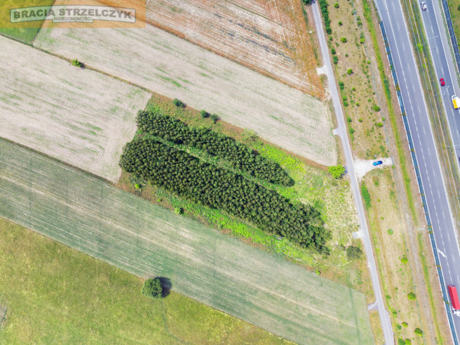 Działka Sprzedaż Holendry Baranowskie 8