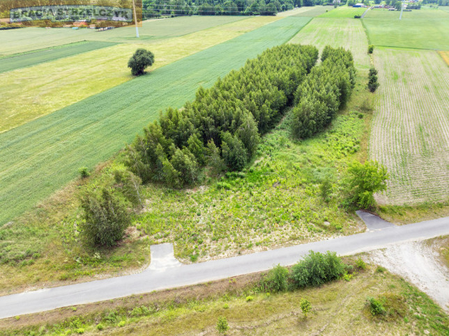 Działka Sprzedaż Holendry Baranowskie 9
