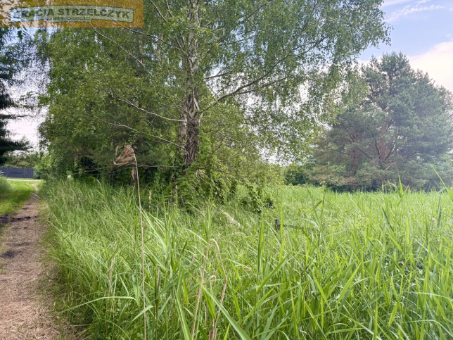 Działka Sprzedaż Łysonie 5