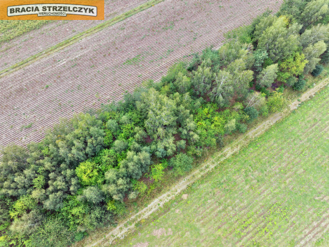 Działka Sprzedaż Walendów 9