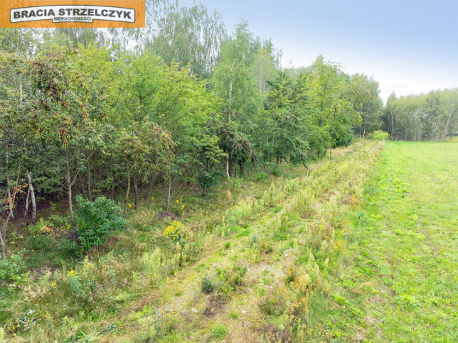 Działka Sprzedaż Walendów 11