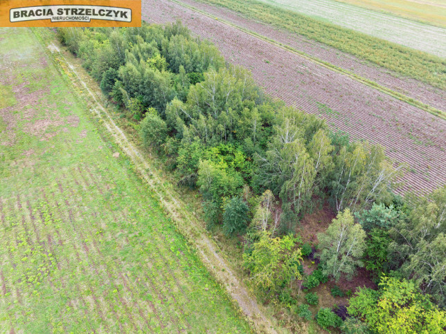 Działka Sprzedaż Walendów 12