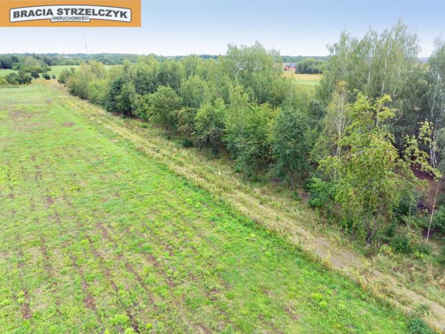 Działka Sprzedaż Walendów 13