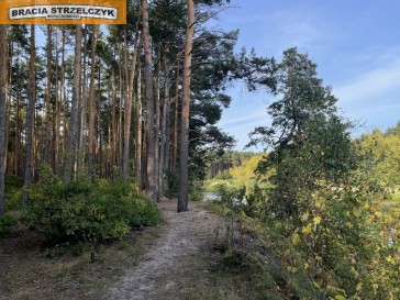 Działka Sprzedaż Świniotop