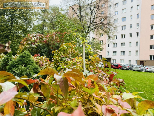 Mieszkanie Sprzedaż Warszawa Ochota grójecka 69 14