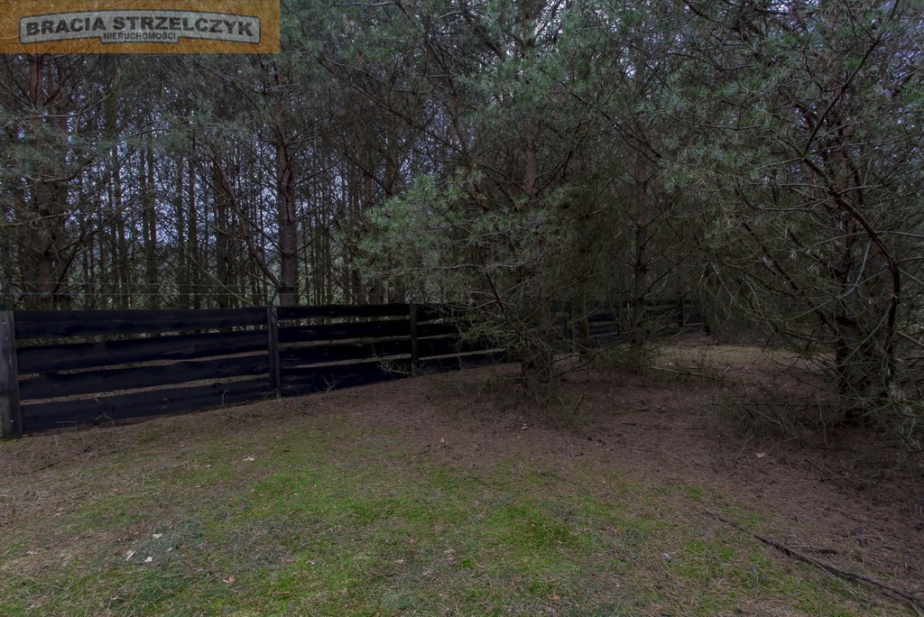 Działka Sprzedaż Jaszczułty