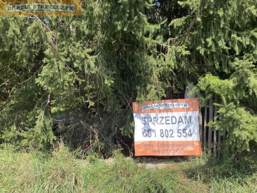 Działka Sprzedaż Jeżówka