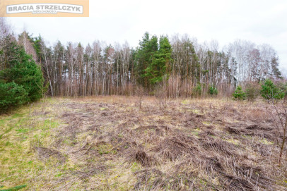 Działka Sprzedaż Grzegorzewice