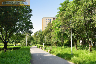 Mieszkanie Wynajem  Mokotów Korczyńska