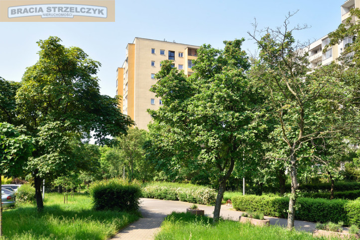 Mieszkanie Wynajem Warszawa Mokotów Korczyńska 11