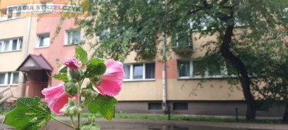 Mieszkanie Sprzedaż  Ochota Władysława Korotyńskiego