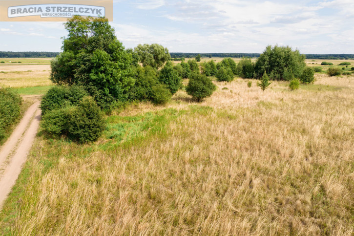Działka Sprzedaż Mała Wieś 2