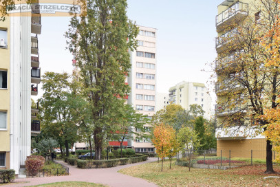 Mieszkanie Sprzedaż  Praga-Południe Międzyborska