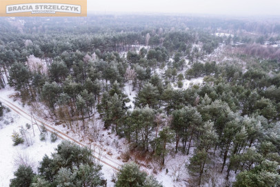 Działka Sprzedaż Michałów-Reginów